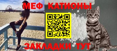 крисы Кулебаки