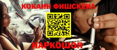 крисы Кулебаки