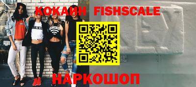 крисы Кулебаки