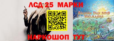 крисы Кулебаки