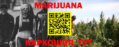 крисы Кулебаки