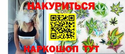 крисы Кулебаки