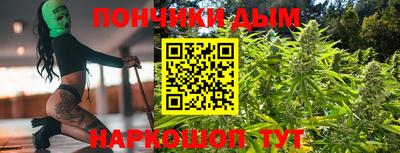 крисы Кулебаки