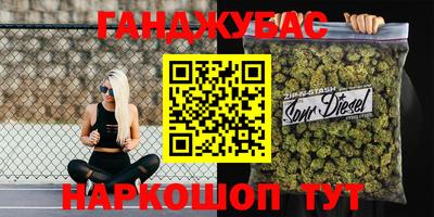крисы Кулебаки