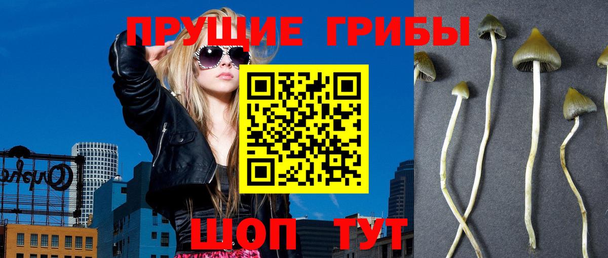 Псилоцибиновые грибы ЛСД  Вход с VPN  Коркино 